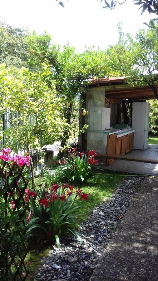 Affittacamere Da Rosa Поликастро-Буссентино Экстерьер фото